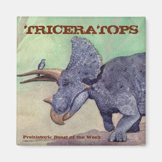 Triceratops Magnet (Vorne)