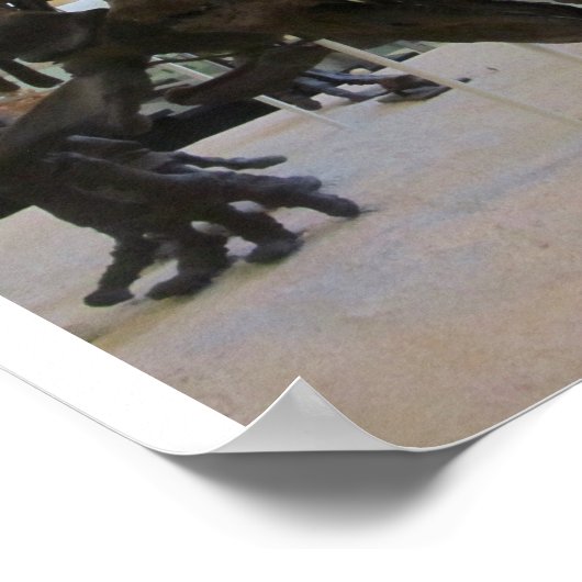 Triceratops Poster (Ecke)