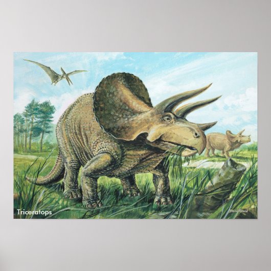 Triceratops Poster (Vorne)