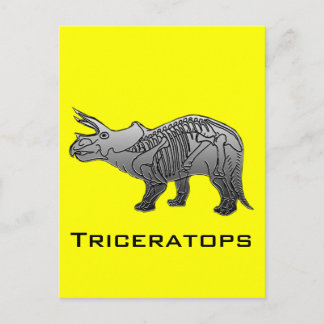 Triceratops Postkarte