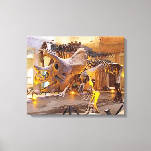 Triceratops Skeleton Canvas Print Leinwanddruck (Vorderseite)