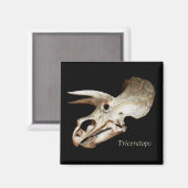 Triceratops Skull Magnet (Vorderseite/Rückseite)