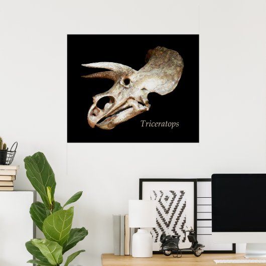 Triceratops Skull Poster (Heimbüro)
