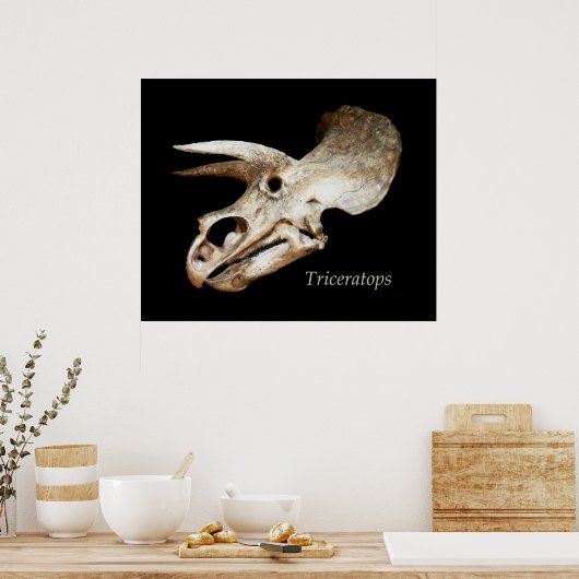 Triceratops Skull Poster (Küche)