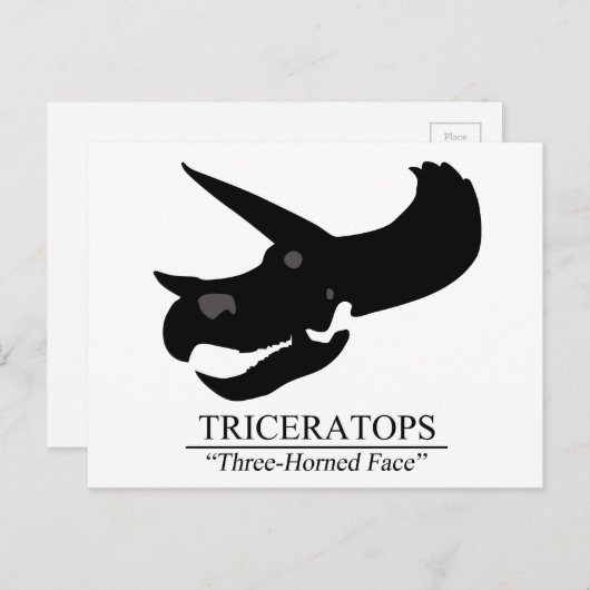 Triceratops Skull Postkarte (Vorne/Hinten)