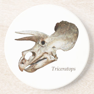 Triceratops Skull-Untersetzer Sandstein Untersetzer