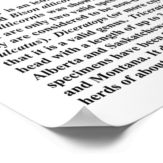 Triceratops skulls poster (Ecke)