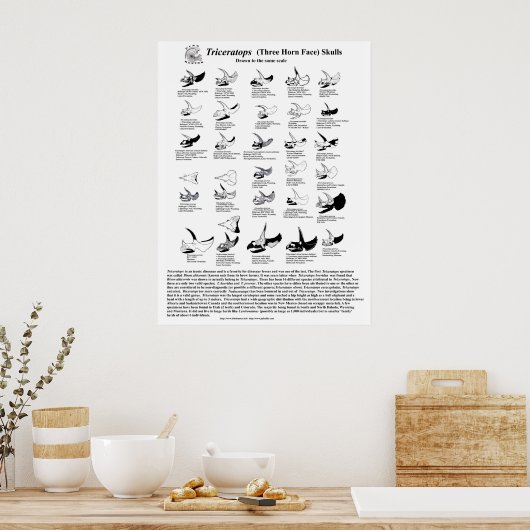 Triceratops skulls poster (Küche)