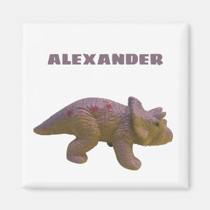 Triceratops und Ihr Name Spielzeug Dinosaurier Magnet