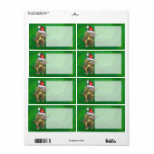 Tricerops Christmas Green (Vorne)