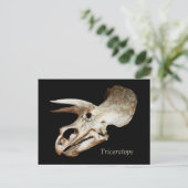 Tricerops Skull Postcard Postkarte (Stehend Vorderseite)