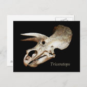 Tricerops Skull Postcard Postkarte (Vorne/Hinten)