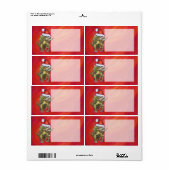 Tricerops Weihnachten auf Rot (Vorne)