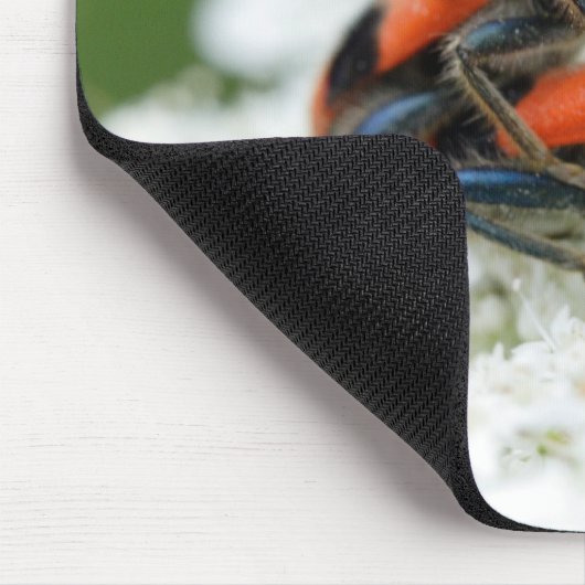 Trichodes apiarius mousepad (Ecke)