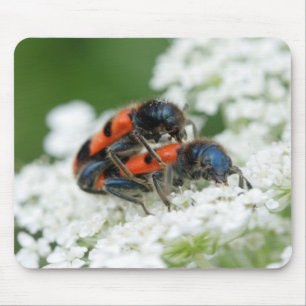 Trichodes apiarius mousepad
