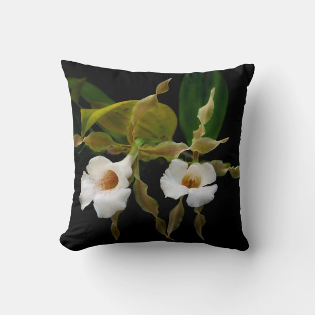 Trichopilia Tortilis Kissen (Vorderseite)