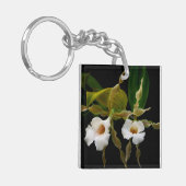 Trichopilia Tortilis Schlüsselanhänger (Vorderseite links)