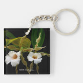 Trichopilia Tortilis Schlüsselanhänger (Rückseite)