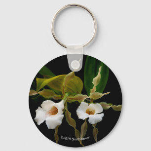 Trichopilia Tortilis Schlüsselanhänger