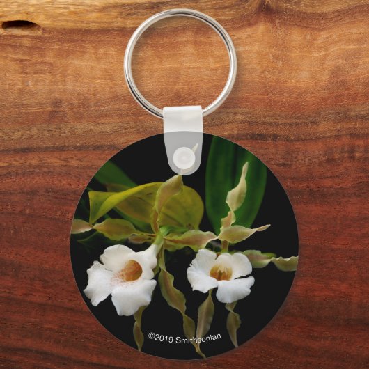 Trichopilia Tortilis Schlüsselanhänger (Vorderseite)