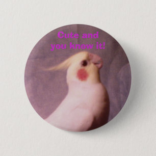 TRICHTER, niedliches andyou kennen es! Button