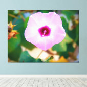 Trichterwinde in Rosa Leinwanddruck (Insitu (Holzboden))