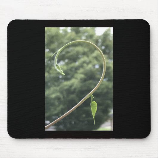 Trichterwindenranke und -blatt mousepad (Vorne)
