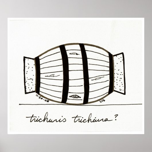 Trichuris-Trichiurie-Druck Poster (Vorne)