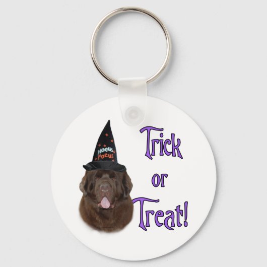 Trick für Neufundland (braun) Schlüsselanhänger (Vorderseite)