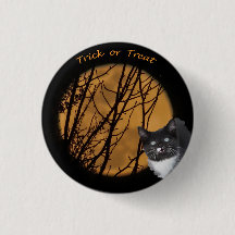 Trick oder behandeln Halloween Black Cat & Moon