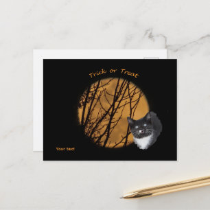 Trick oder behandeln Halloween Black Cat & Moon Postkarte