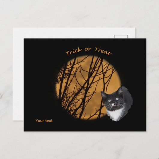 Trick oder behandeln Halloween Black Cat & Moon Postkarte (Vorne/Hinten)