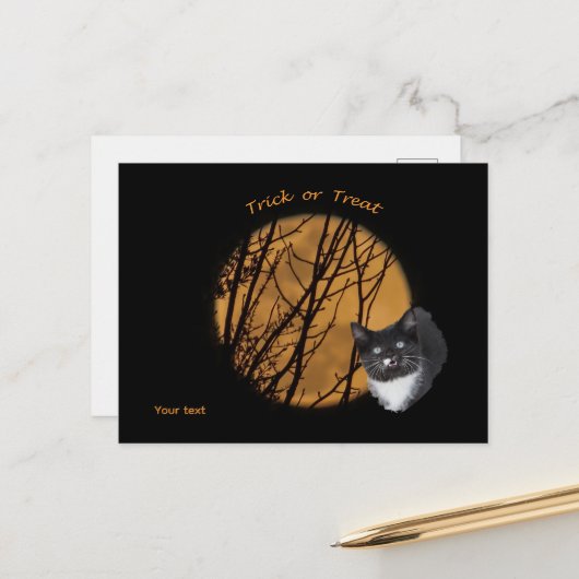 Trick oder behandeln Halloween Black Cat & Moon Postkarte (Vorderseite/Rückseite Beispiel)