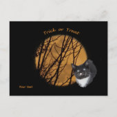 Trick oder behandeln Halloween Black Cat & Moon Postkarte (Vorderseite)