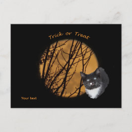 Trick oder behandeln Halloween Black Cat & Moon Postkarte