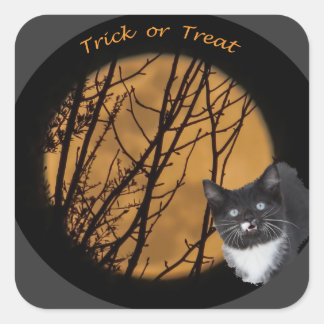Trick oder behandeln schwarze Katze & Mond Hallowe Quadratischer Aufkleber