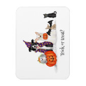 Trick oder Lust? Hunde im Halloween-Kostümmagnet Magnet (Vertikal)