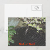 Trick oder Treat! Halloween Postkarte (Vorne/Hinten)