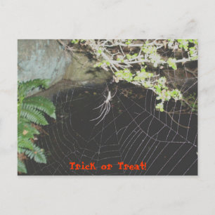 Trick oder Treat! Halloween Postkarte
