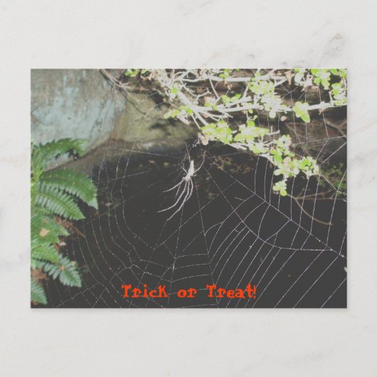 Trick oder Treat! Halloween Postkarte (Vorderseite)