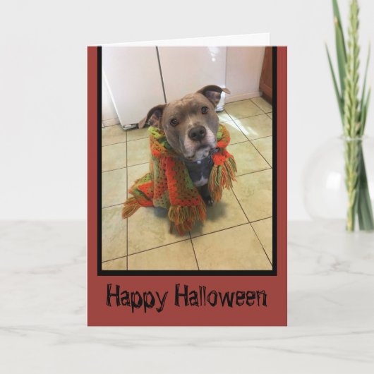 Trick oder Treat Pitbull Halloween Card Karte (Vorderseite)