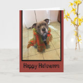 Trick oder Treat Pitbull Halloween Card Karte (Gelbe Blume)