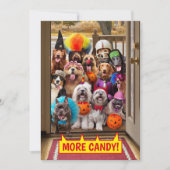 Trick-oder-Treathunde Einladung (Vorderseite)