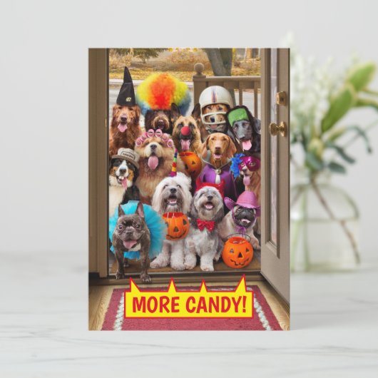 Trick-oder-Treathunde Einladung (Stehend Vorderseite)