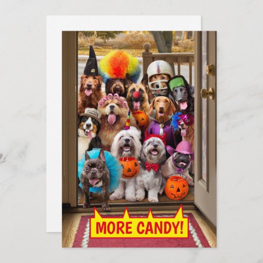 Trick-oder-Treathunde Einladung (Vorne/Hinten)