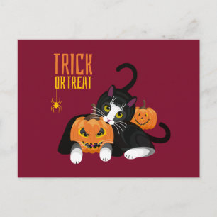 Trick oder Treppenhaus Cat fun Postcard Postkarte