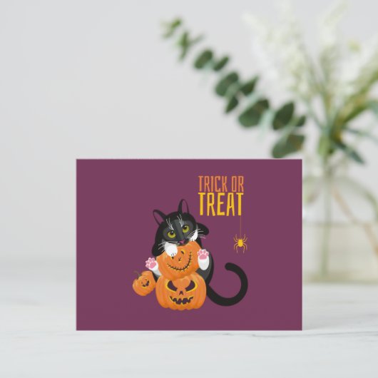 Trick oder Treppenhaus Cat fun Postcard Postkarte (Stehend Vorderseite)