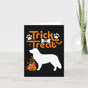 Trick or Treat Duck Tolling Retriever Hund Hallowe Karte