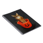 Trick or Treat Somali Cat Notizblock (Rechte Seite)