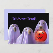 Trick-or-Treating Ghost Hund Halloween Postkarte (Vorne/Hinten)